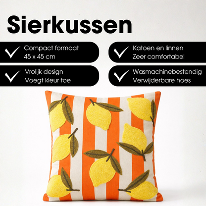 Sierkussen  Meerkleurig