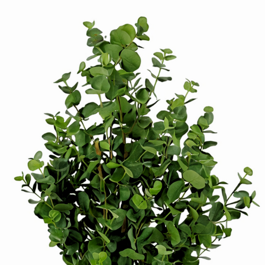 Kunstplant Eucalyptusboom Groen