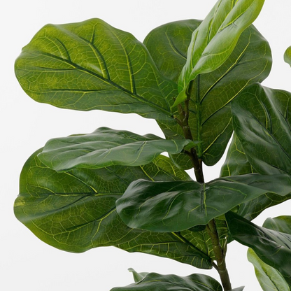 Kunstplant Ficus Groen