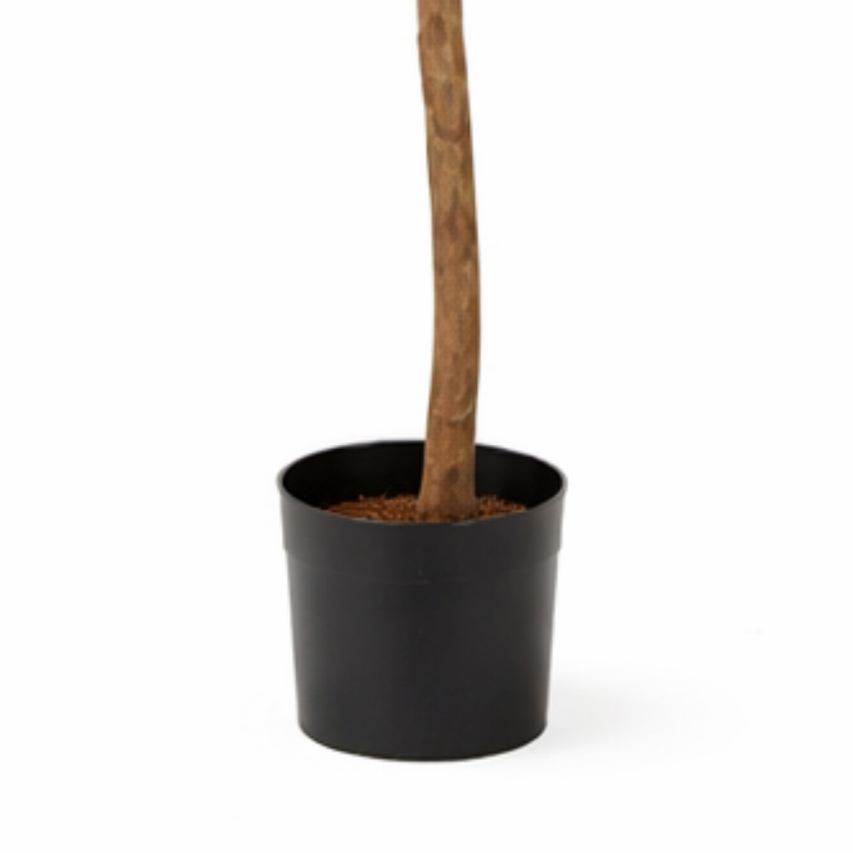 Kunstplant Ficus Groen