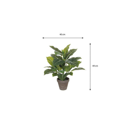 Kunstplant Evergreen Groen