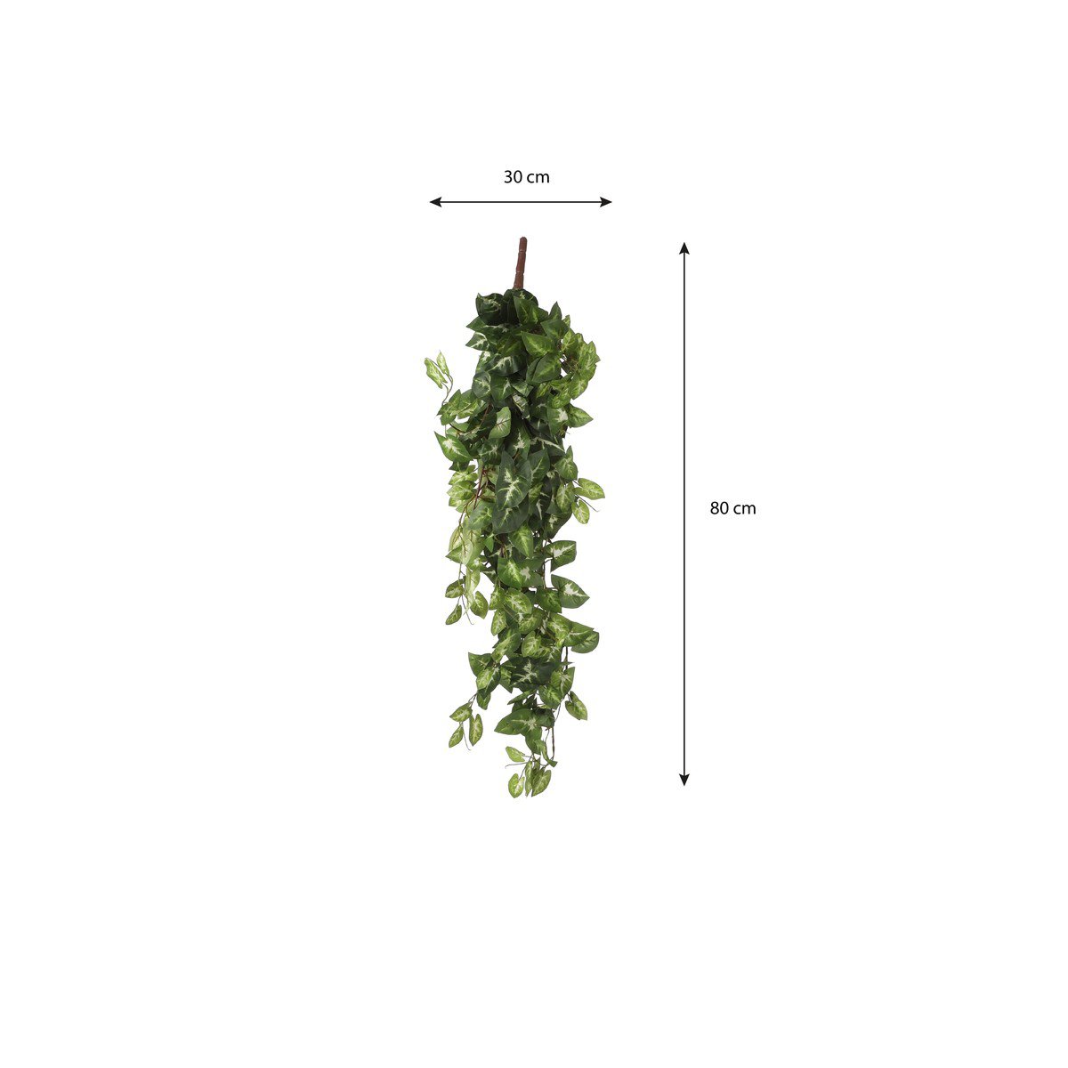 Kunstplant Fittonia Groen