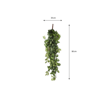 Kunstplant Fittonia Groen
