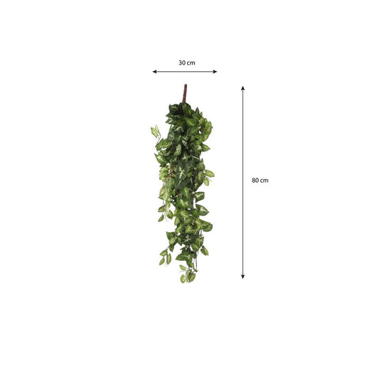 Kunstplant Fittonia Groen