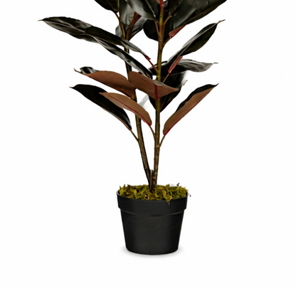 Kunstplant Rubberplant Rood