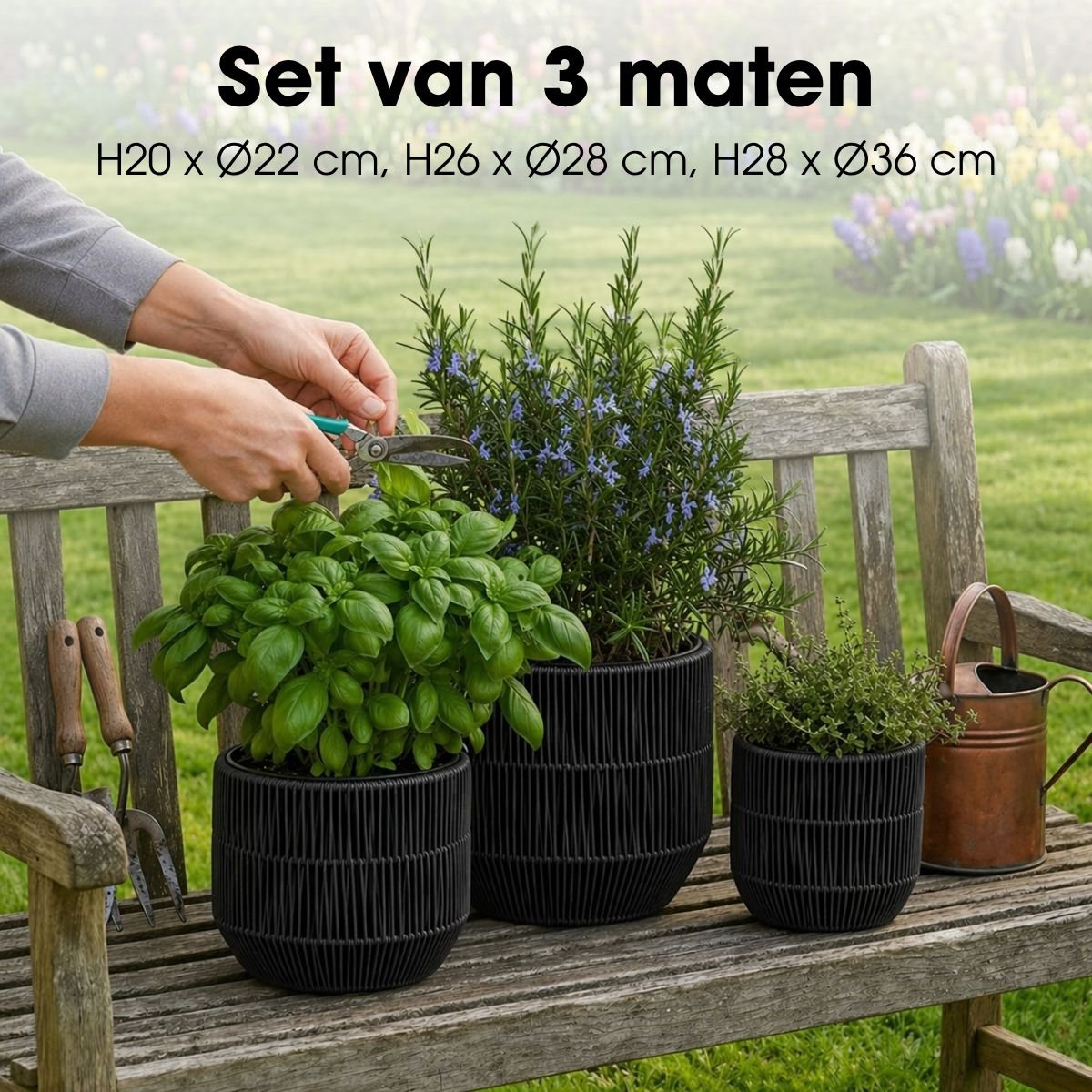 Bloempot Buiten Peta Zwart