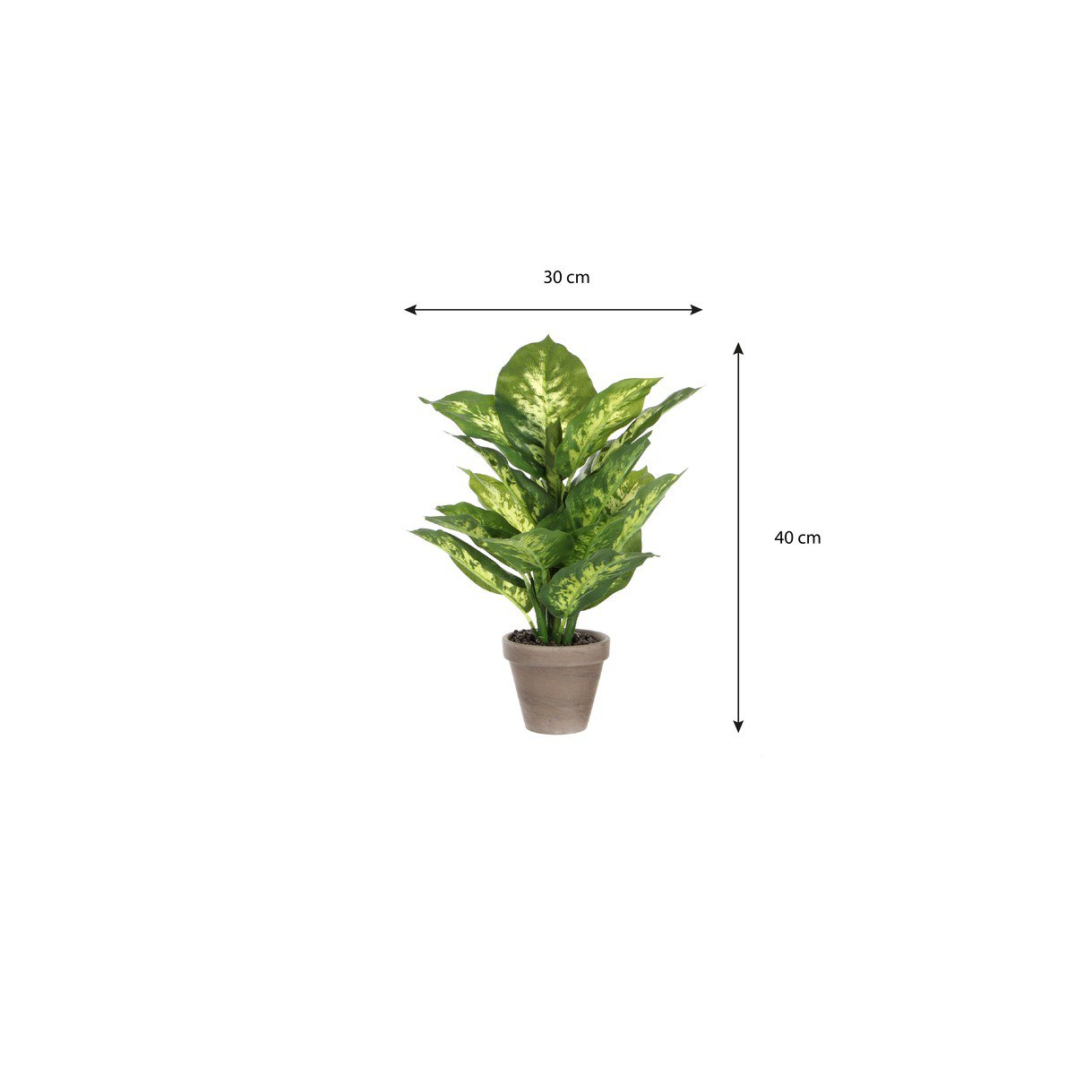 Kunstplant Dieffenbachia Groen
