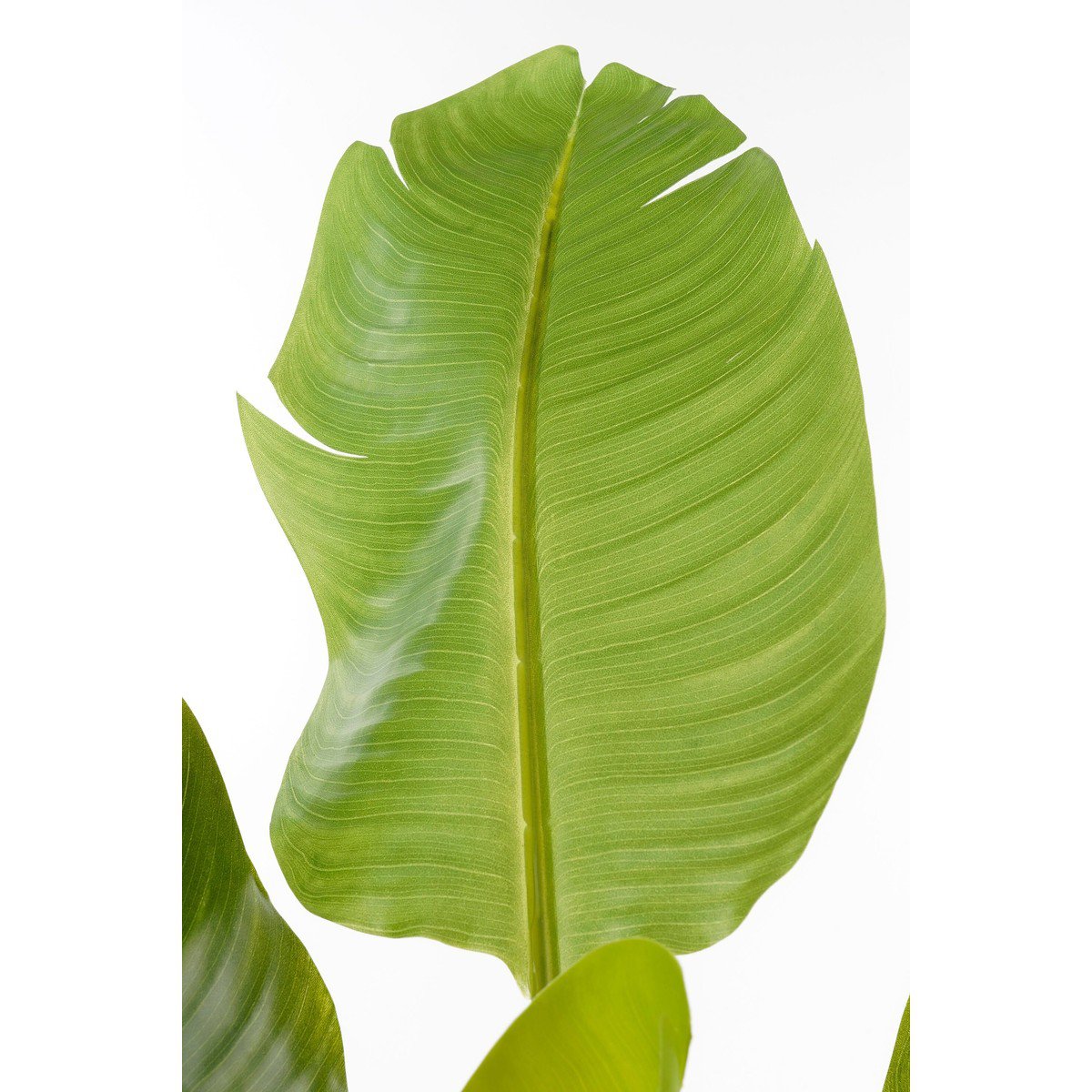 Kunstplant  Groen