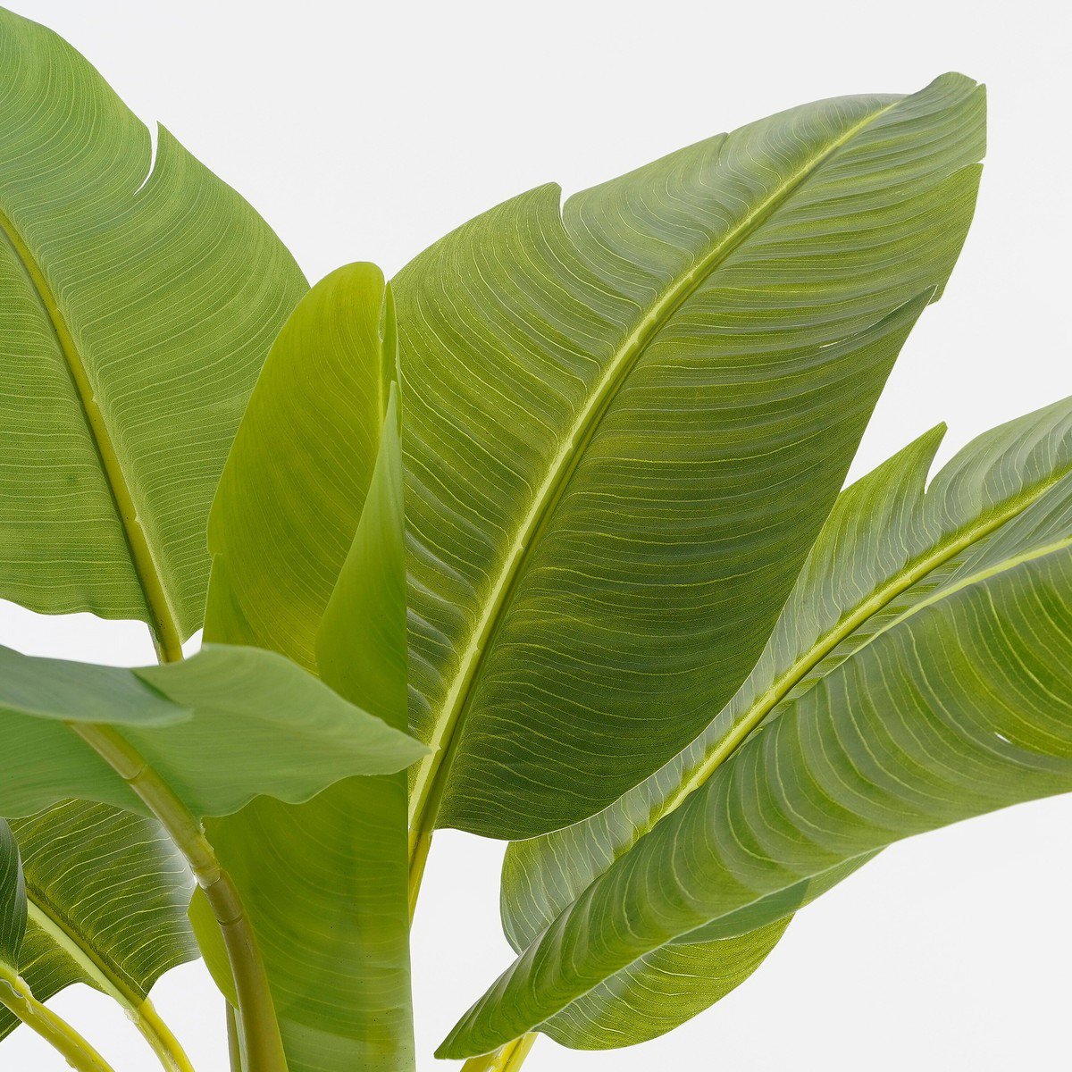 Kunstplant  Groen