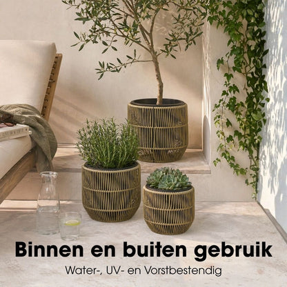 Bloempot Buiten Peta Groen