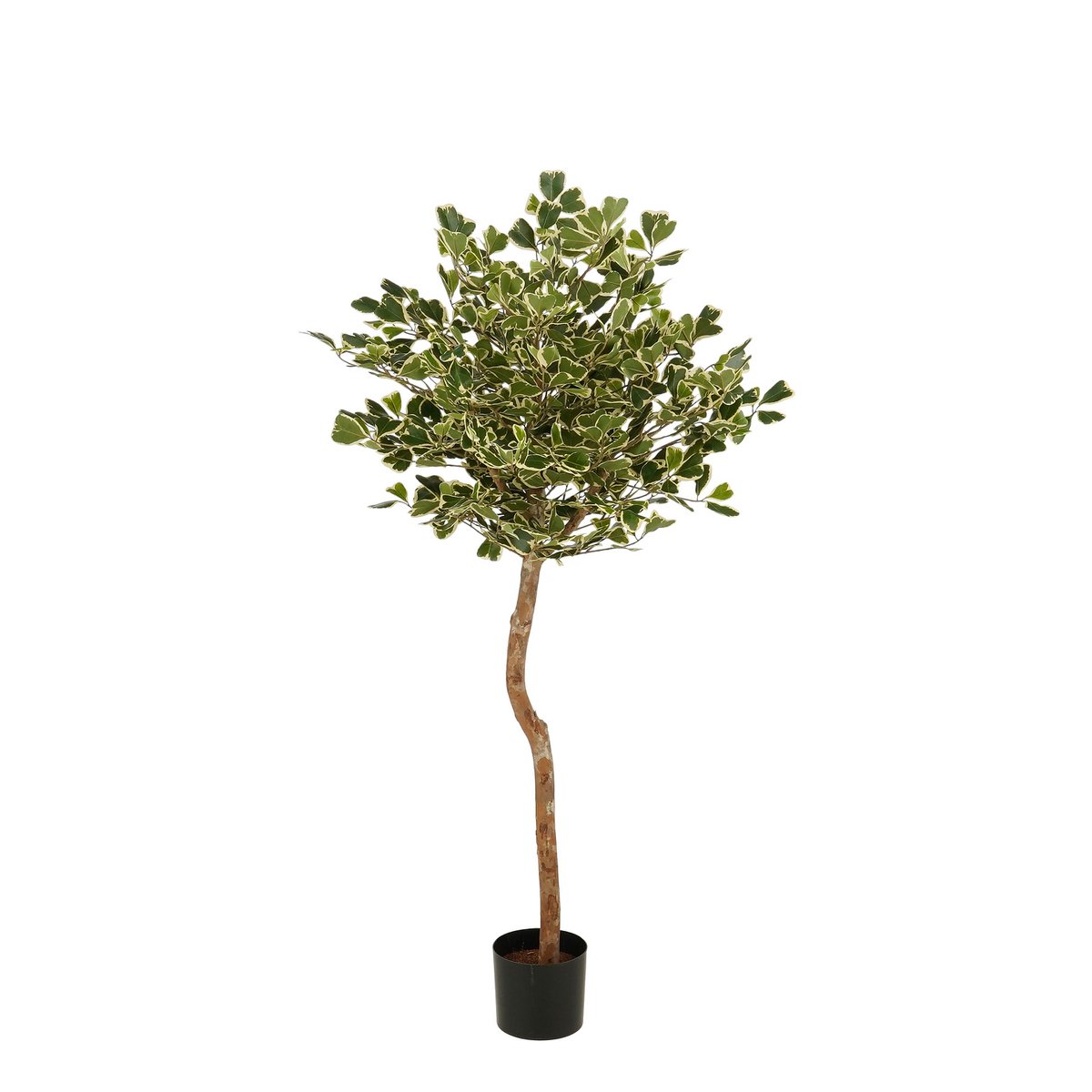 Kunstplant Ficus Groen