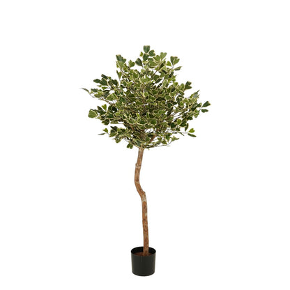Kunstplant Ficus Groen