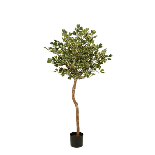 Kunstplant Ficus Groen