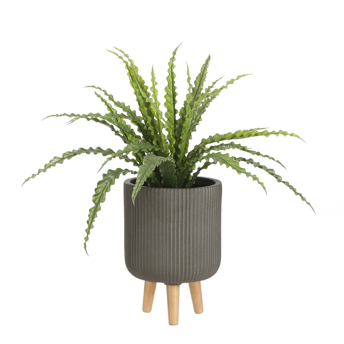 Kunstplant Asplenium Groen
