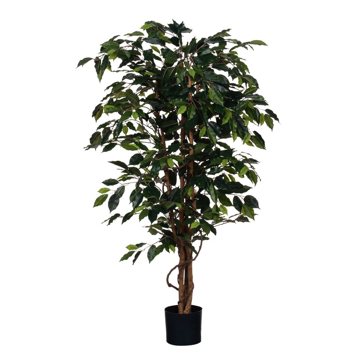 Kunstplant Ficus Groen