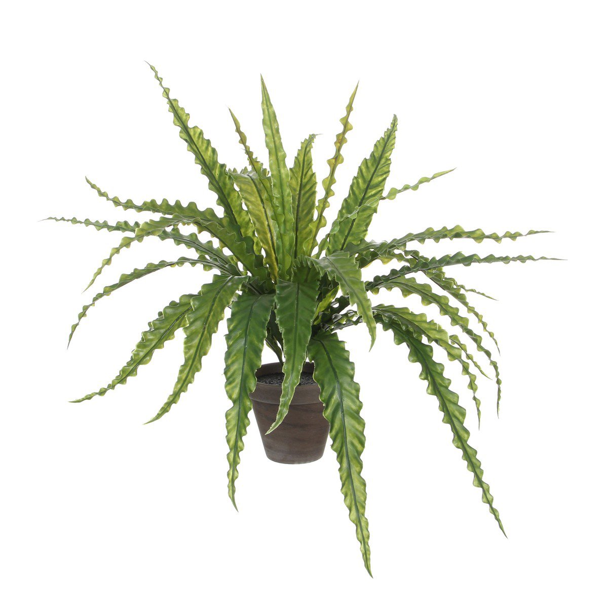 Kunstplant Asplenium Groen