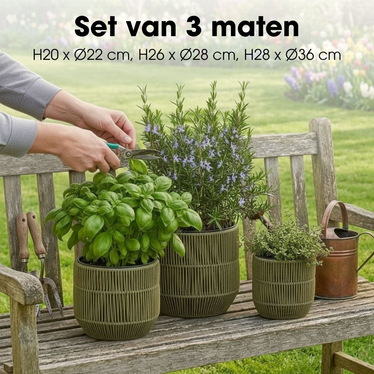 Bloempot Buiten Peta Groen