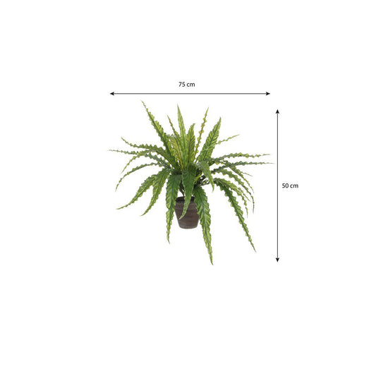 Kunstplant Asplenium Groen