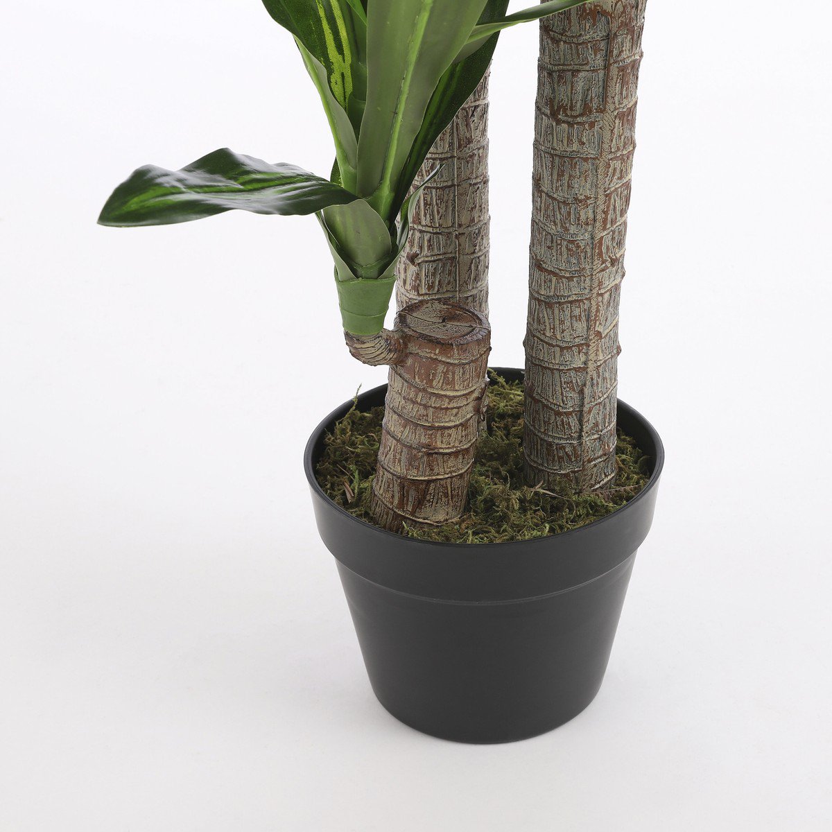 Kunstplant Dracaena Groen