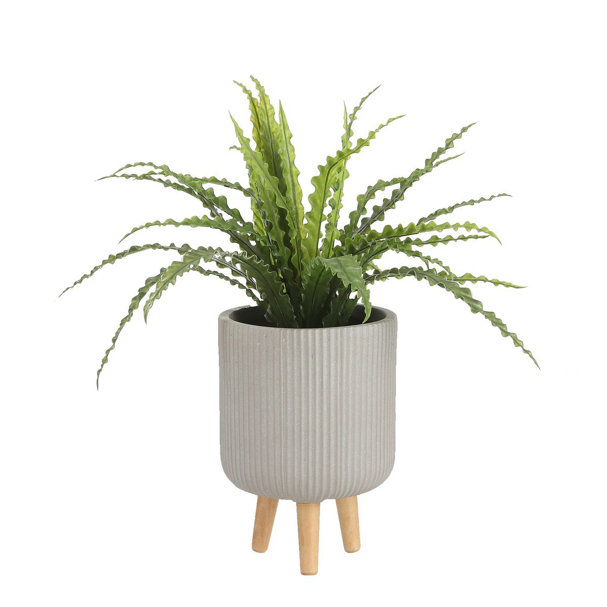 Kunstplant Asplenium Groen
