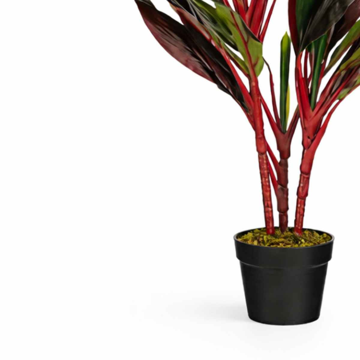 Kunstplant Cordyline Rood
