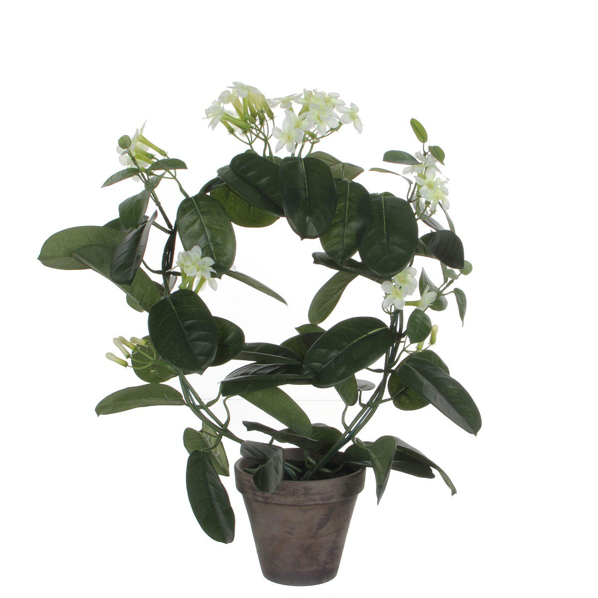 Kunstplant Stephanotis Wit