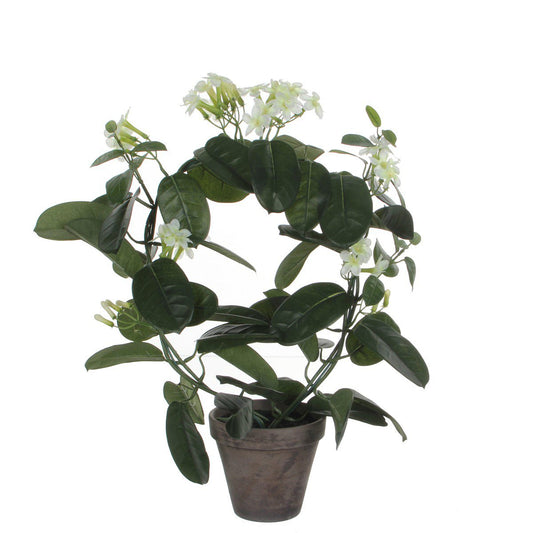 Kunstplant Stephanotis Wit