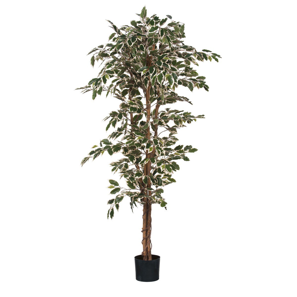 Kunstplant Ficus Groen