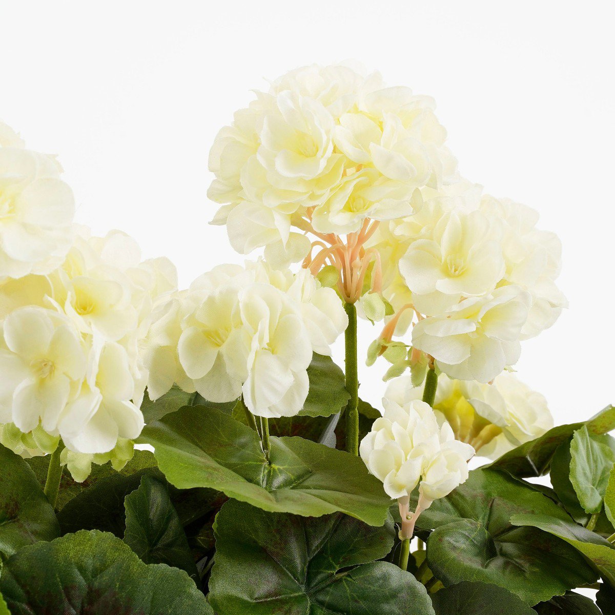 Kunstplant Geranium Wit
