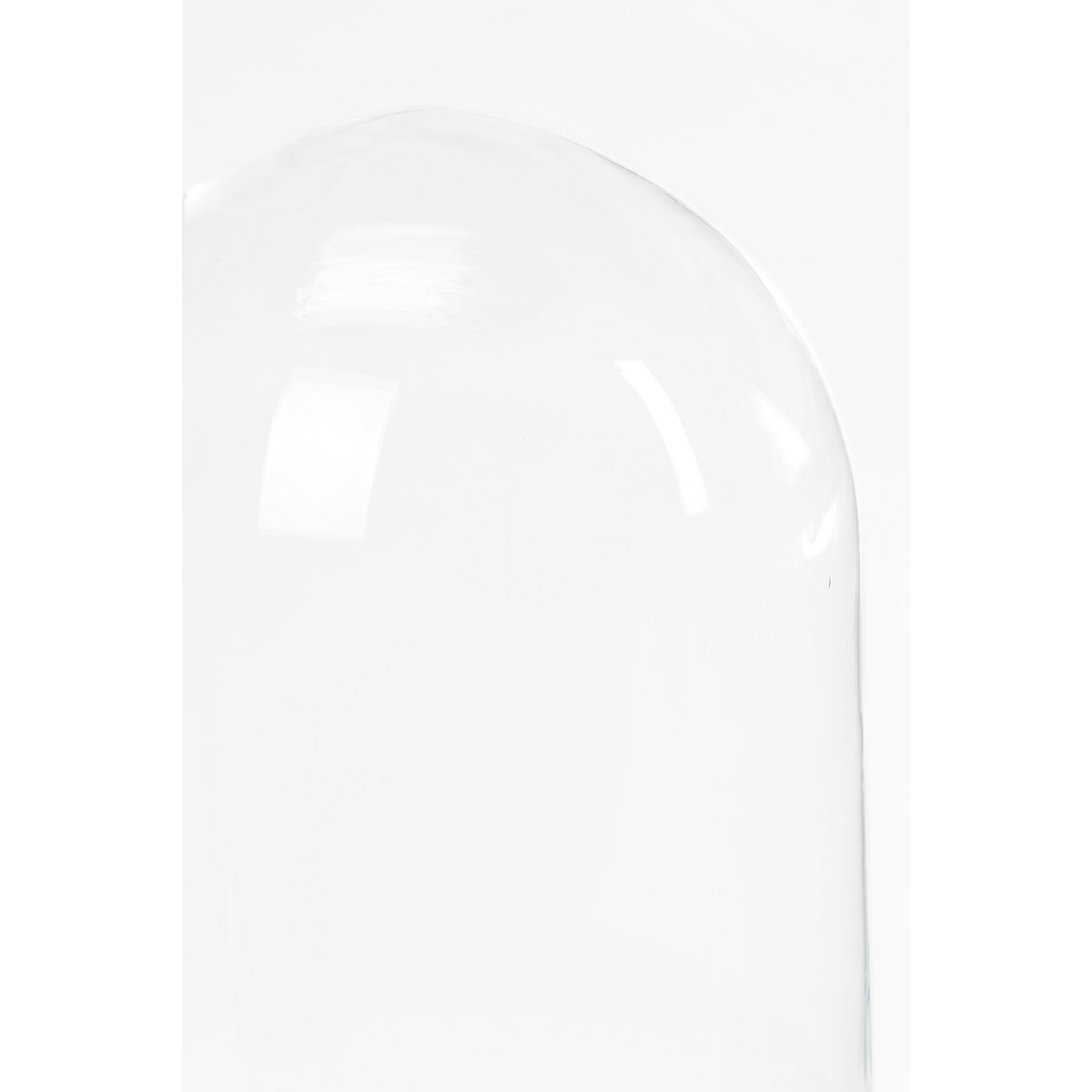 Hella Glazen Stolp - H30 x Ø21 cm - Transparant, Zwart
