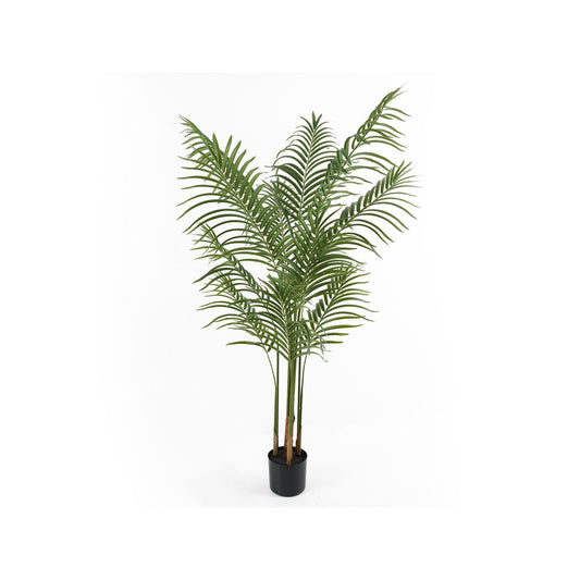 Kunstplant Kwaiboom