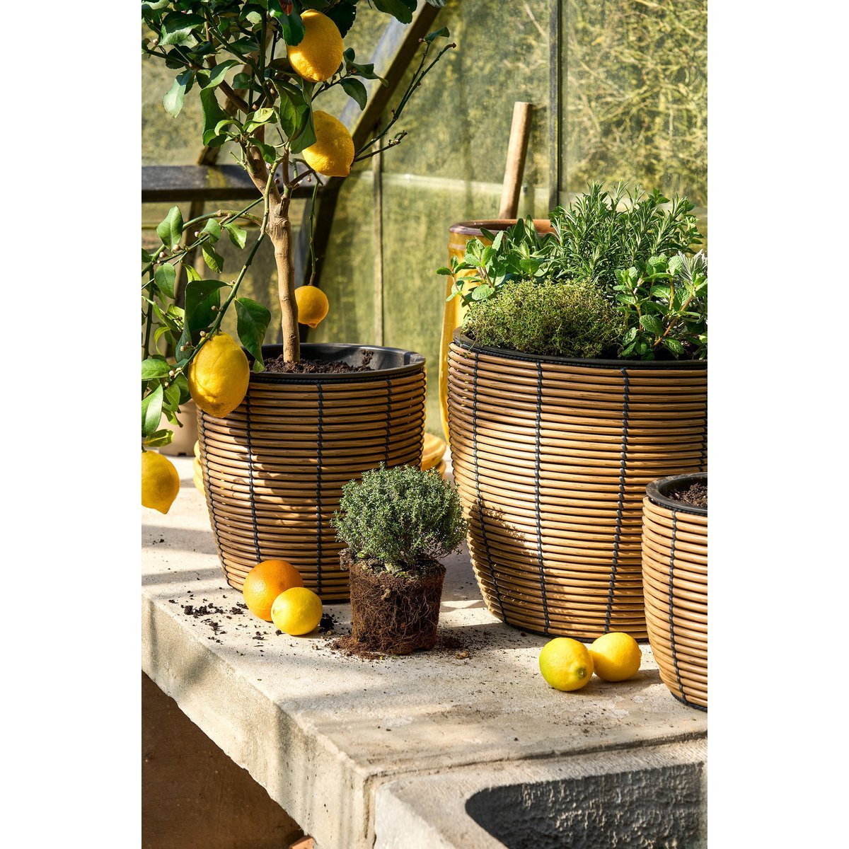 Durban Bloempot Buiten - Set van 3 - H36 x Ø40 cm - Gerecycled Plastic - Bruin