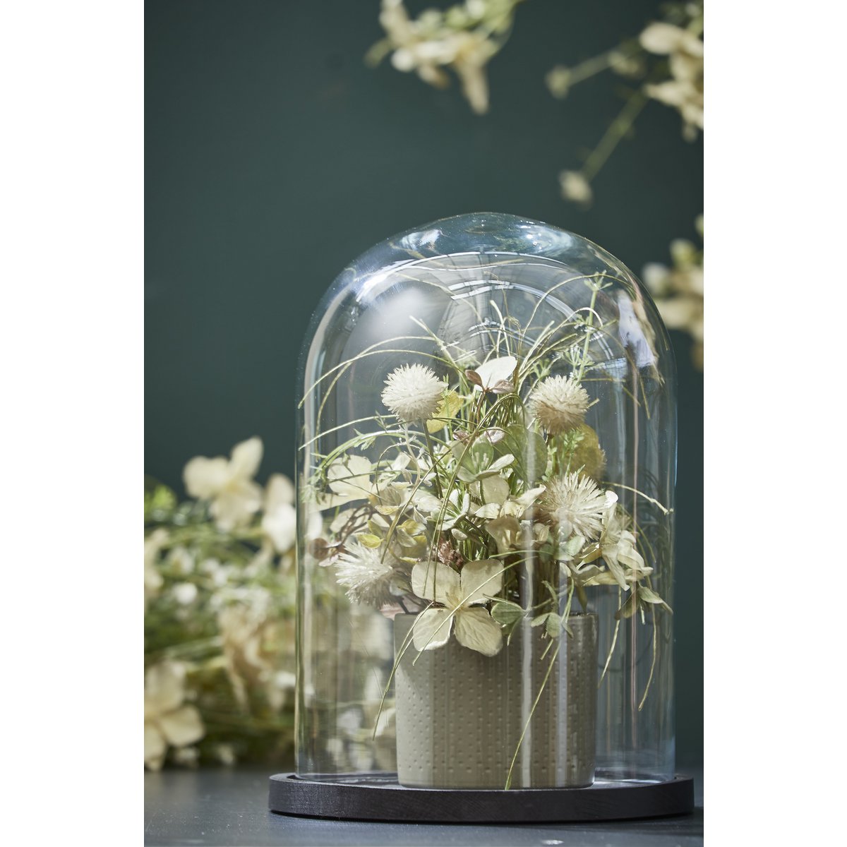 Hella Glazen Stolp - H38 x Ø23 cm - Transparant, Zwart
