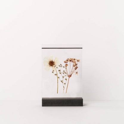 Dried Flower Holder