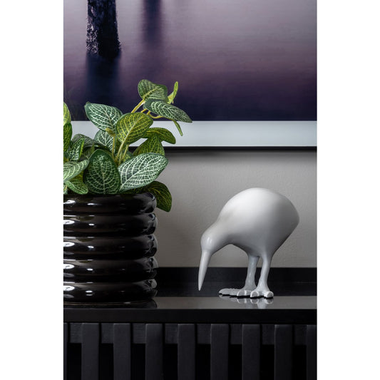 Standbeeld Kiwivogel