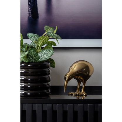 Standbeeld Kiwivogel